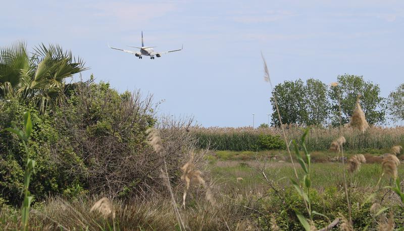 Plane landing at Barcelona airport