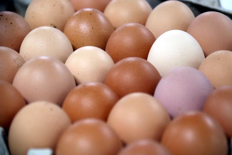 Eggs in a supermarket