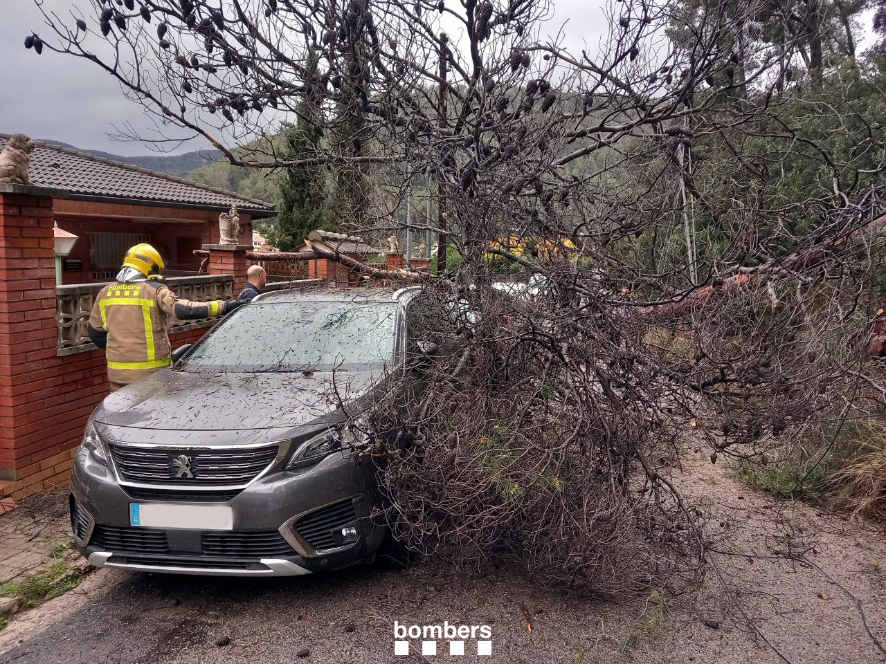 A tree fell on top of a car in Cervelló during Storm Jana in early March 2025