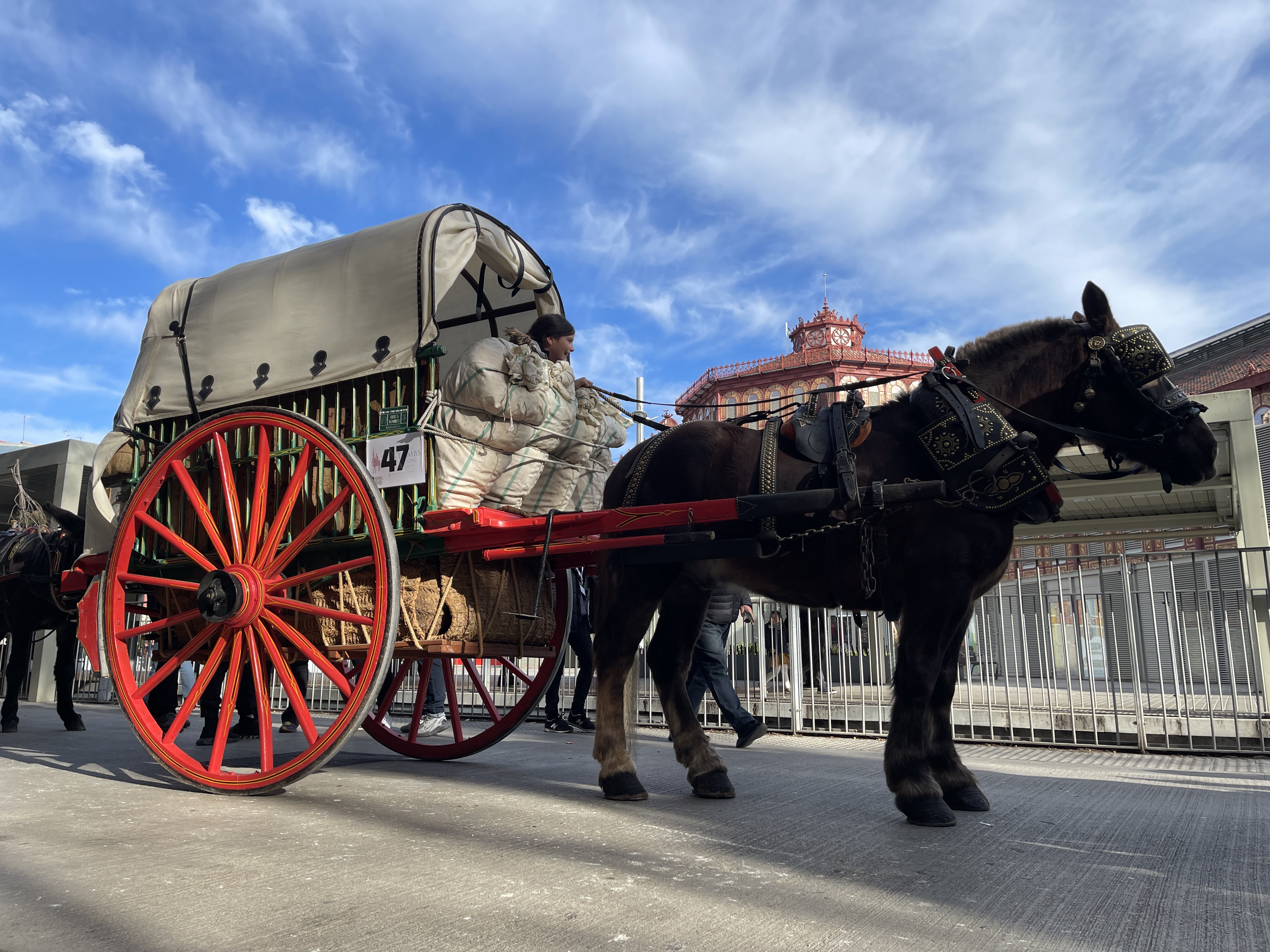 A carraige passes Sant Antoni market