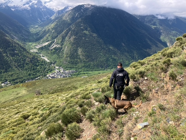 A wildlife inspector monitors the attack zones in Val d'Aran.