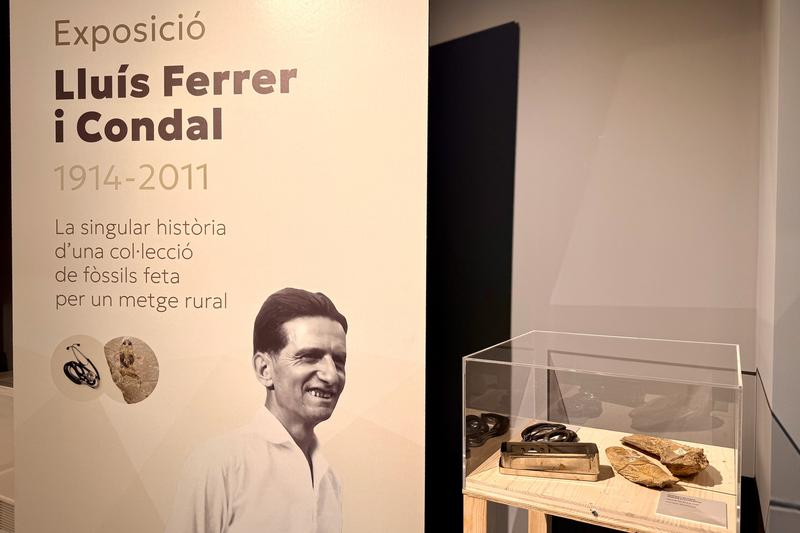 Exhibition by Lluís Ferrer i Condal at the Museu de la Conca Dellà
