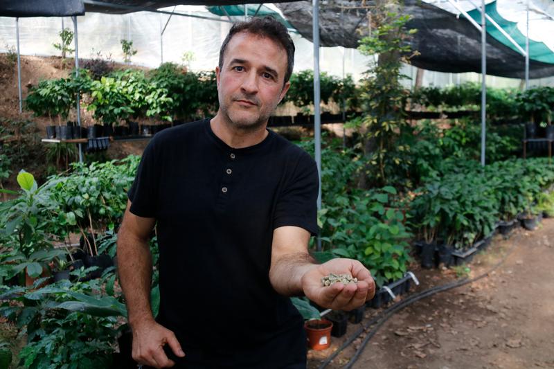 Coffee expert and entrepreneur Joan Giráldez at his coffee plantation in Sant Vicenç de Torelló, central Catalonia.