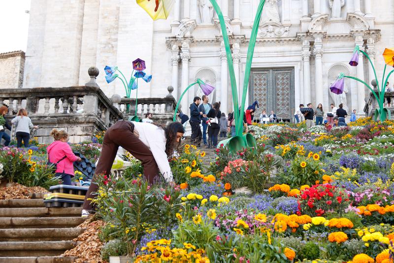 A collaborator helps out during the Temps de Flors flower festival at the steps of Girona's Cathedral