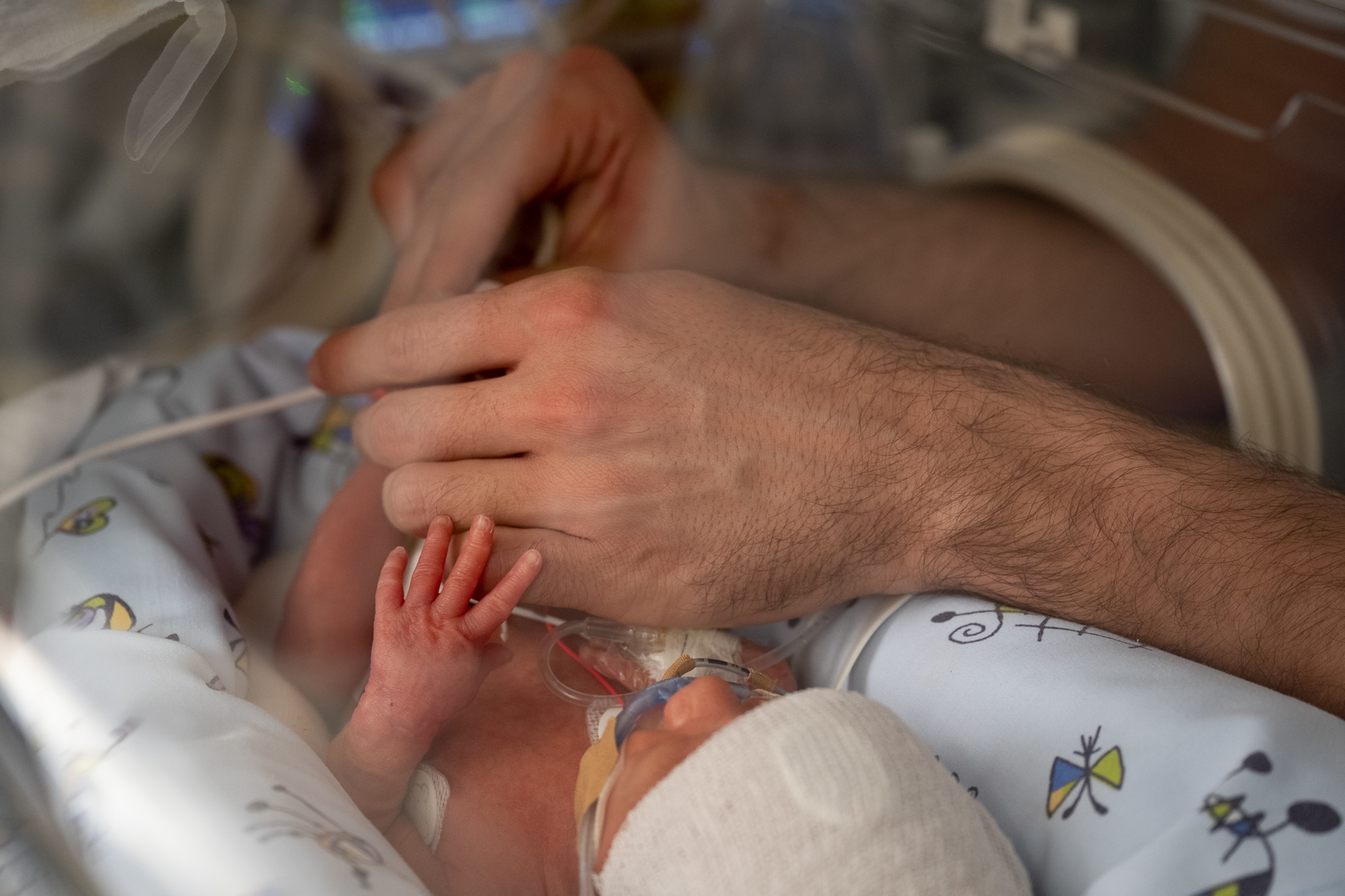 A premature baby's hand next to an adult's at Barcelona's Hospital Clínic