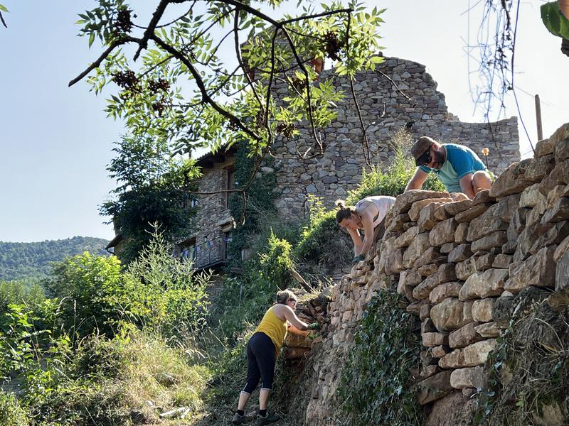 Volunteers working on a dry stone wall in Envall