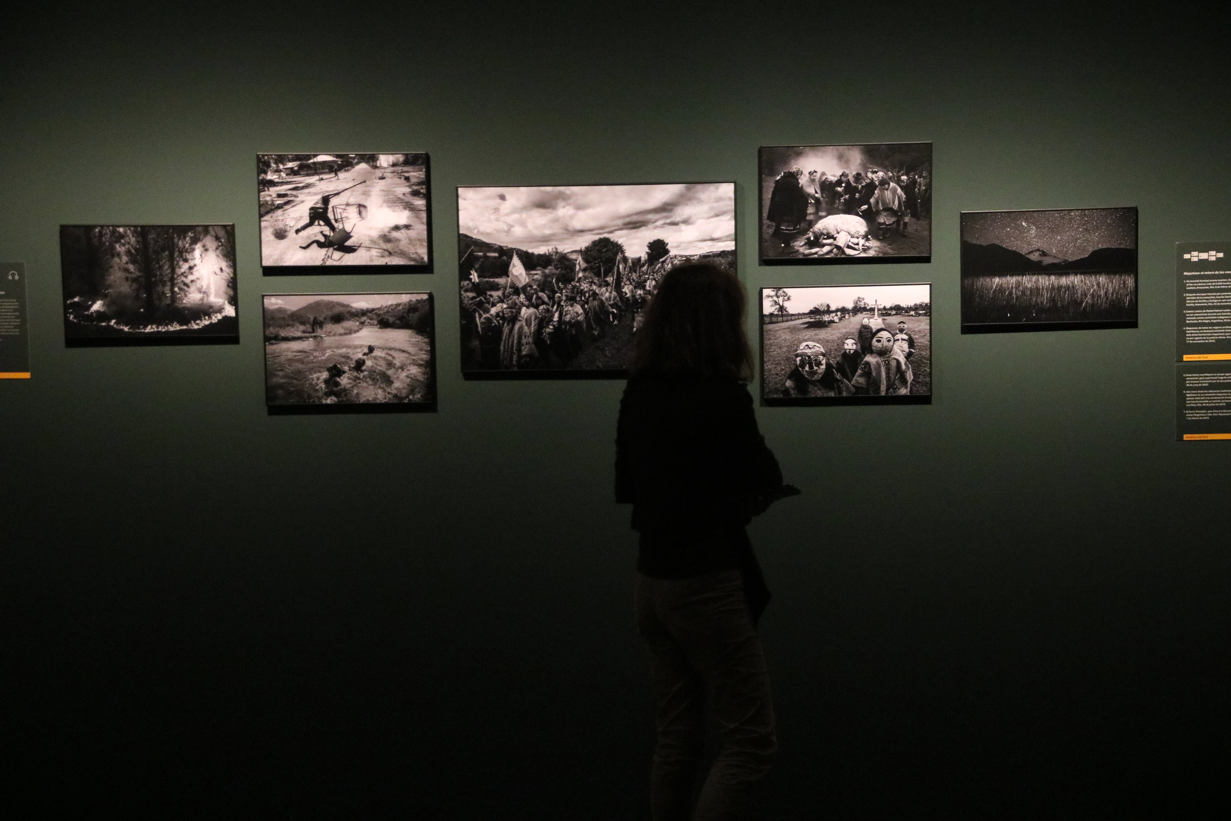 Someone observing the pictures at the 2024 World Press Photo exhibition in Barcelona's CCCB.