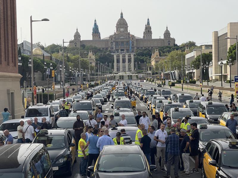 Hundreds of taxis line up at Avinguda Maria Cristina, just off Plaça Espanya, for the beginning of the slow drive protest on September 5, 2023