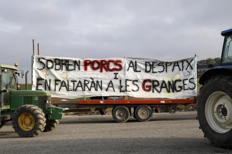 A poster reads: 'Too many pigs in offices, and very few in farms' during a farmers' protest in the municipality of Panadella on February 10, 2025