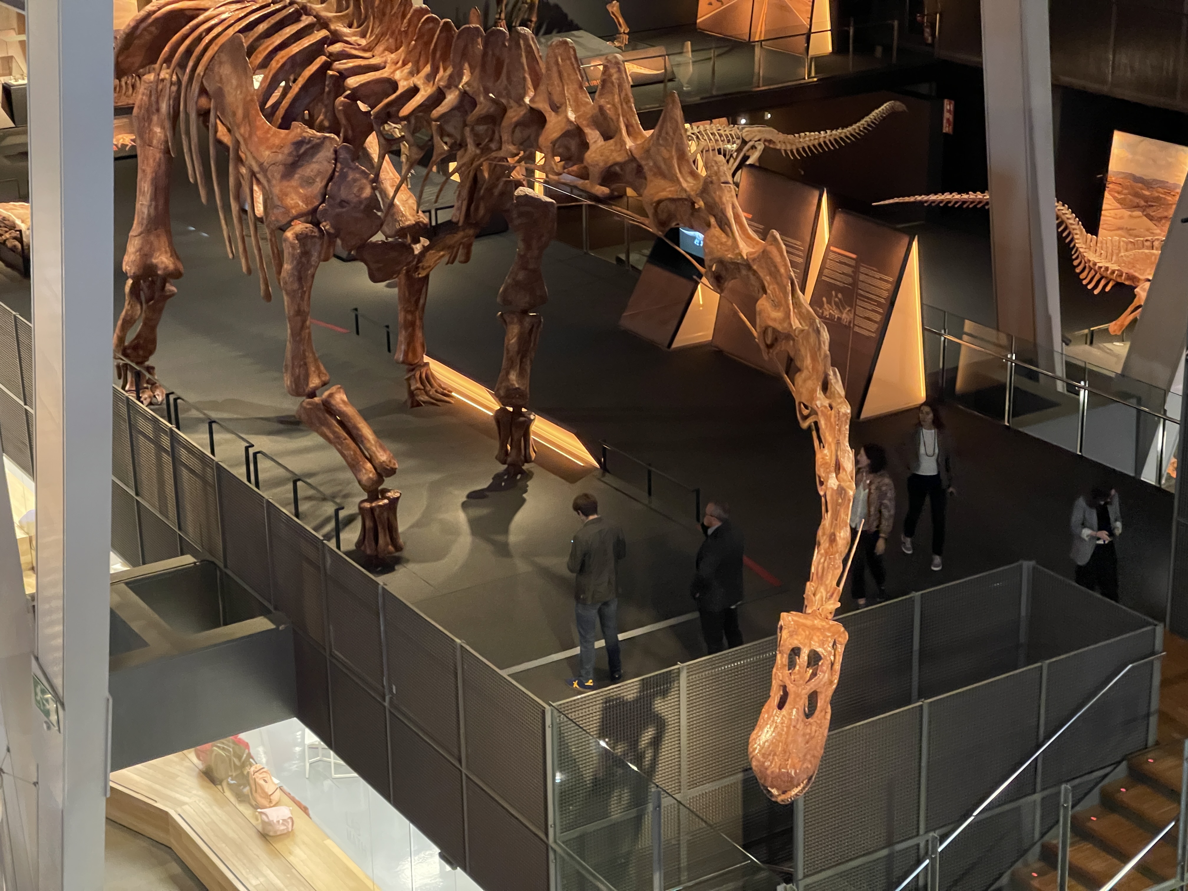 Patagotitan mayorum, part of the Dinosaurs of Patagonia exhibition at CosmoCaixa science museum
