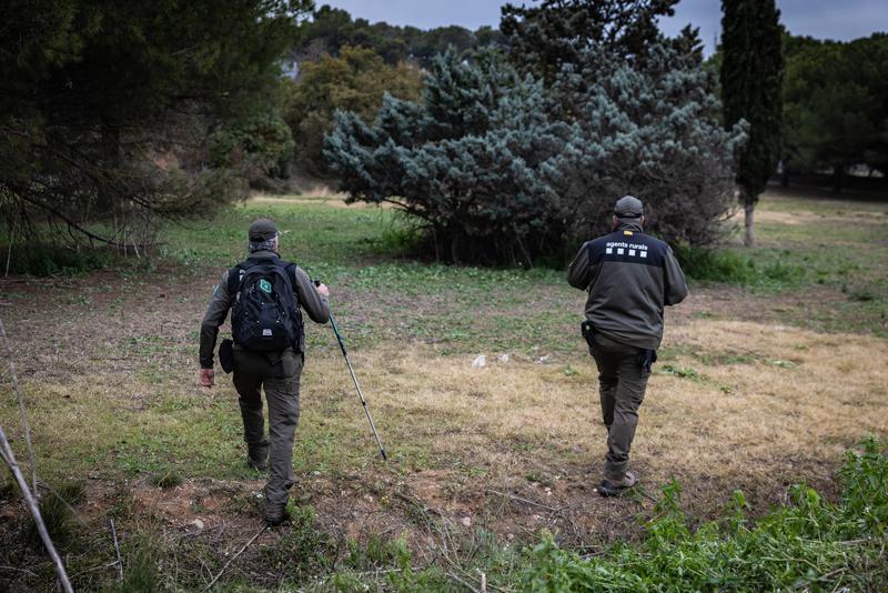 Rural Agents at work in the zone affected by African swine fever