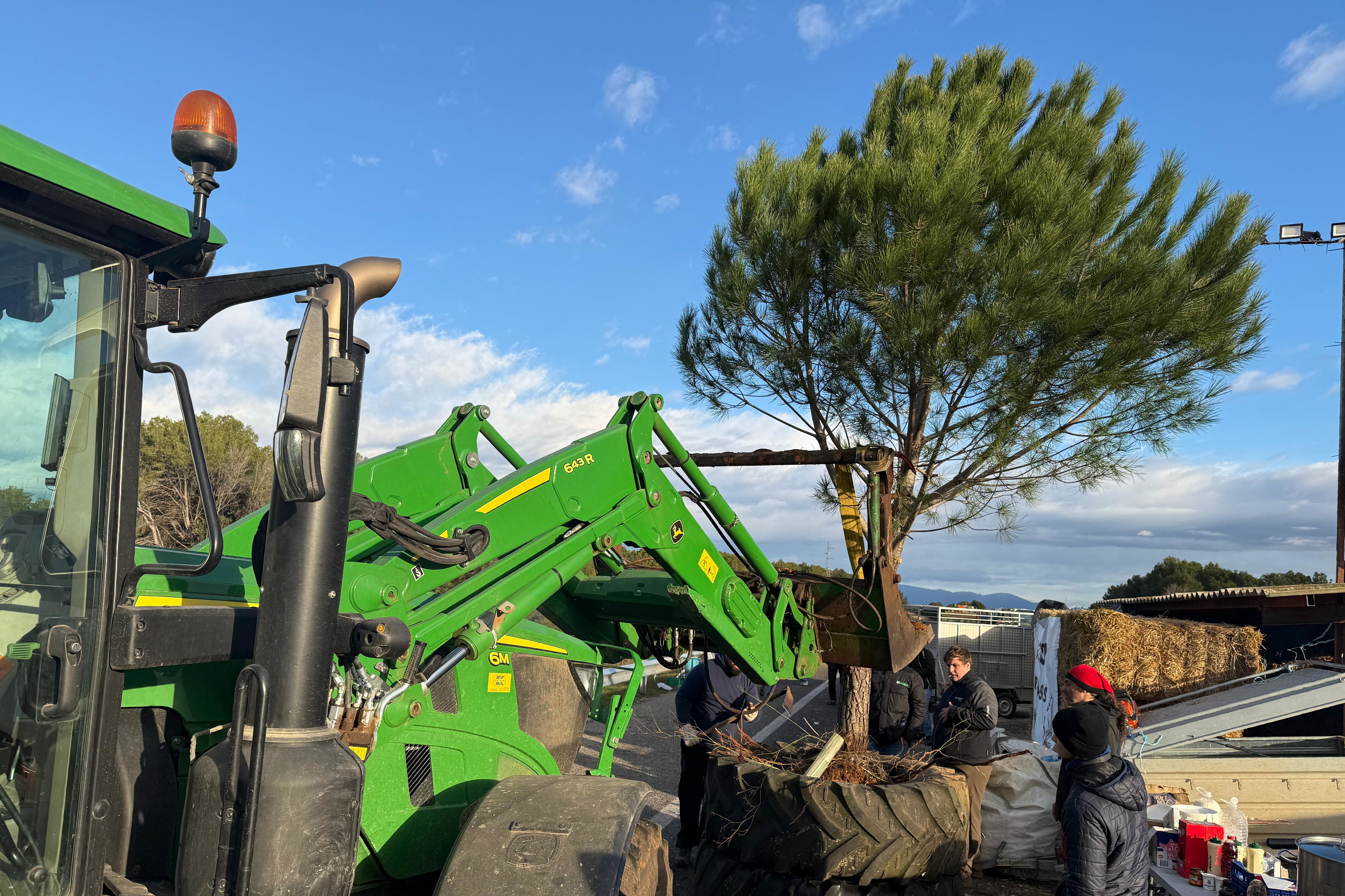 Farmers planting a pine tree in the middle of the AP-7 highway on January 9, 2026 to protest against the Mercosur deal