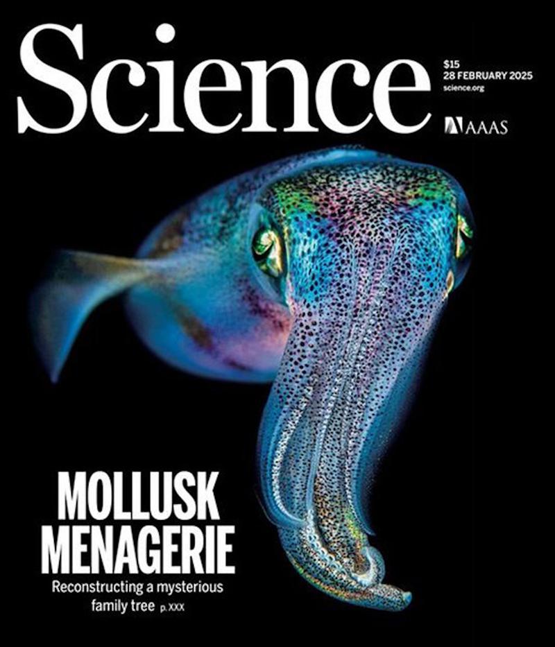 Cover of magazine 'Science' with the mollusks research.