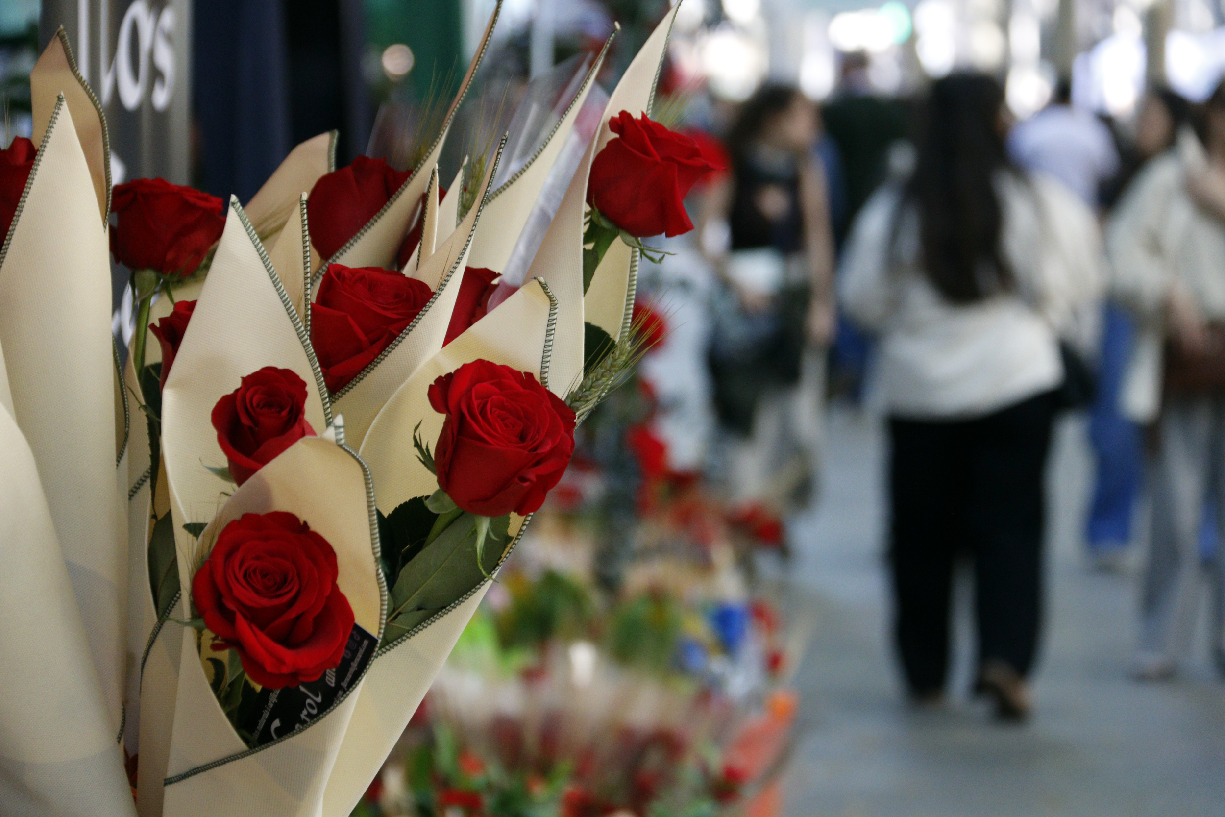 Red roses at a stall on Rambla de Ferran in Lleida for Sant Jordi