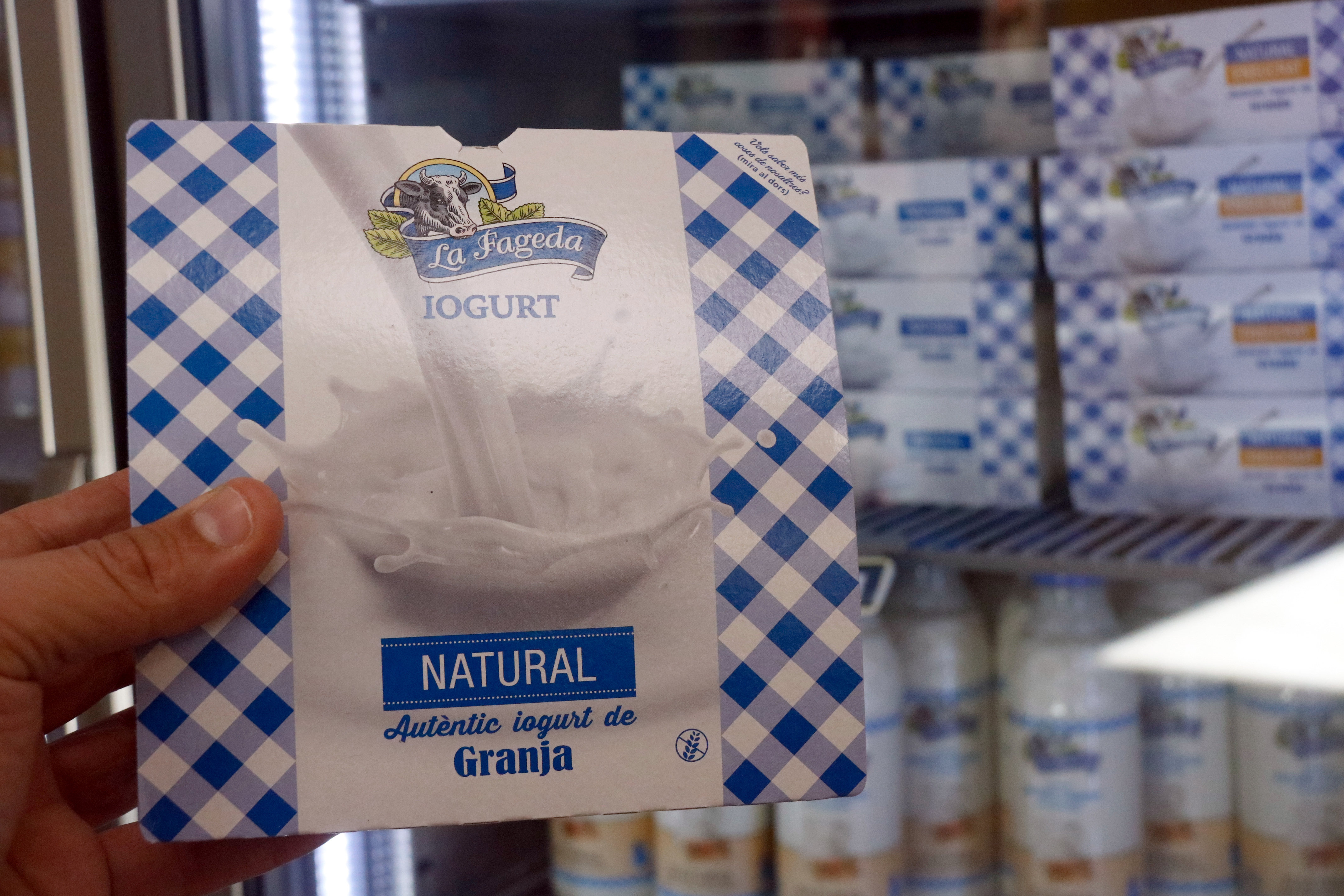 La Fageda yogurts