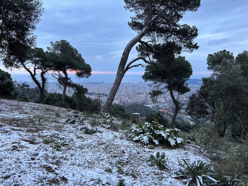 Snow in the Collserola mountains above Barcelona on January 24, 2023