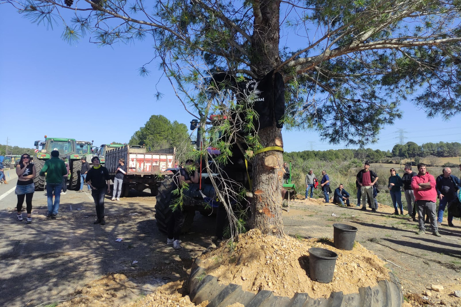 Farmers planted a ten-meter pine tree in the middle of the AP-7 highway
