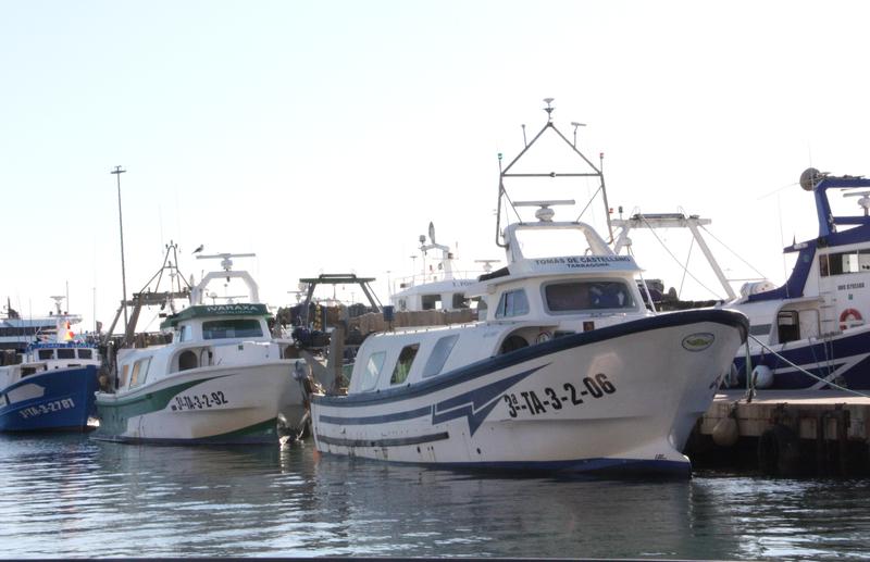 Trawlers docked in Tarragona