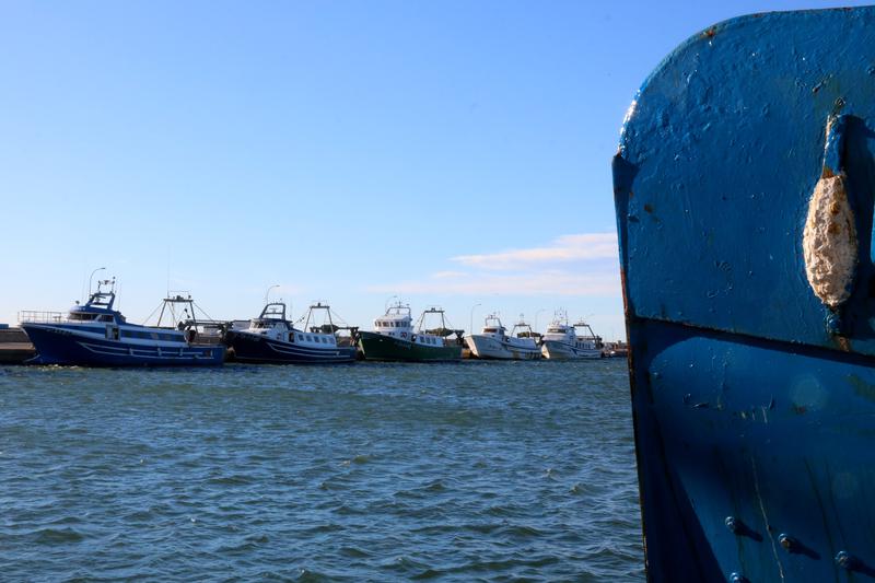 Fishing boats in Port de La Ràpita