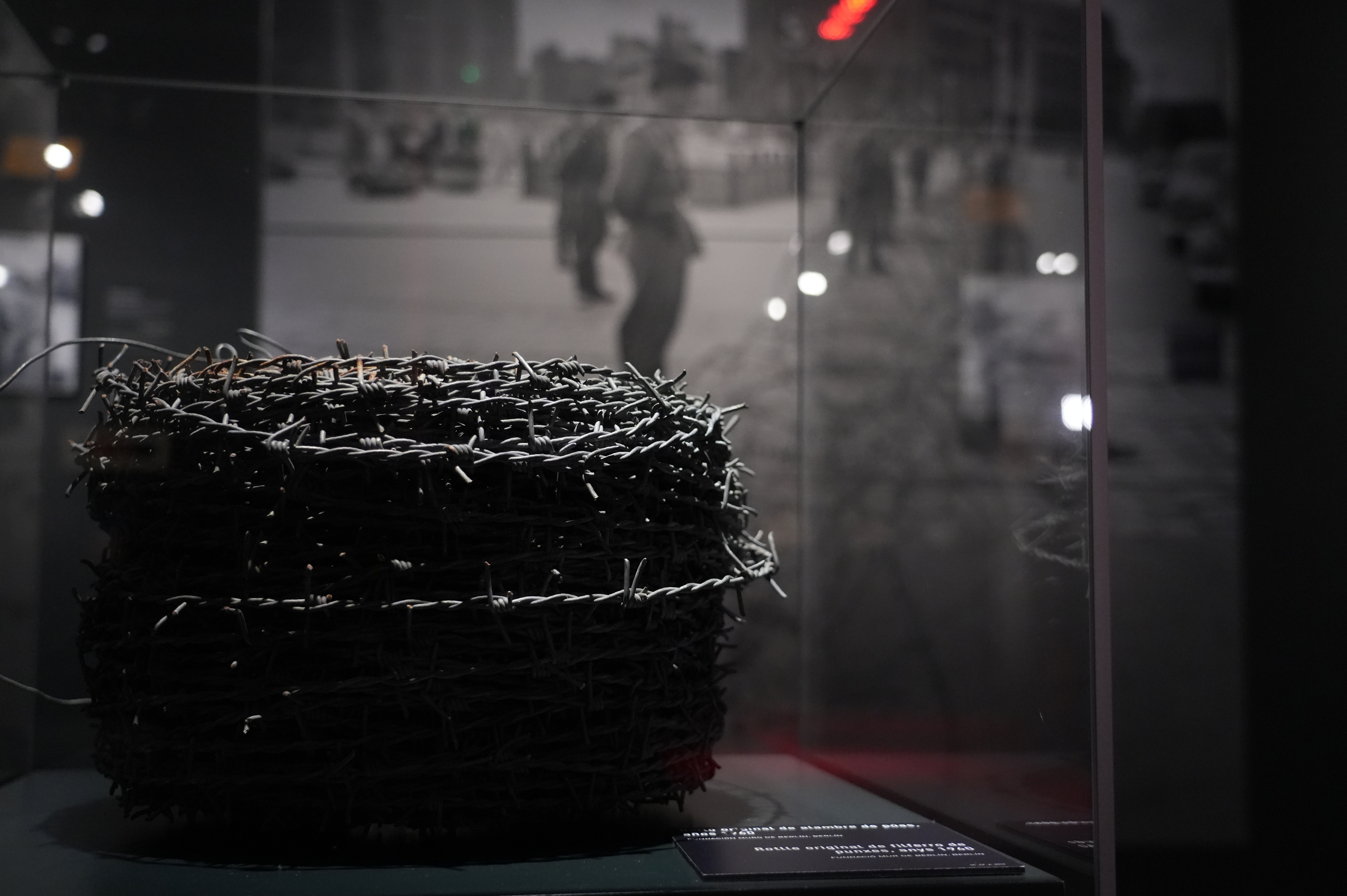 Barbed wire from the early phases of the division