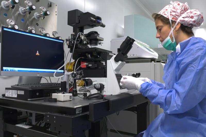 In vitro fertilization laboratory of Dexeus Dona in Barcelona