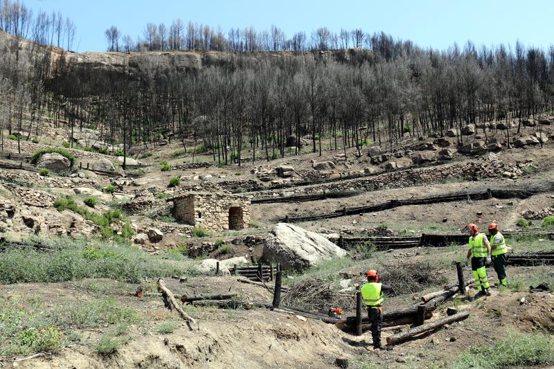 Workers at the burned area of the Pont de Vilomara forest a year after the wildfire