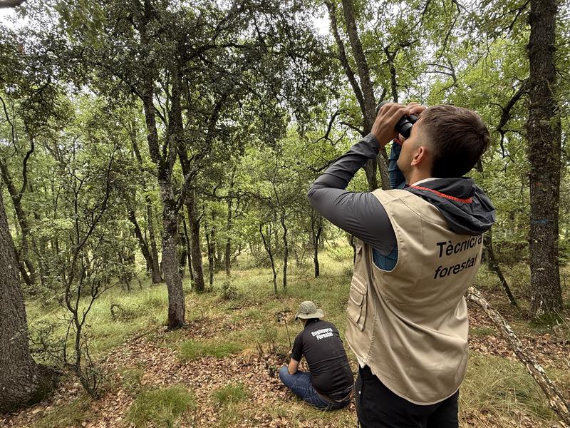 An engineer checking the condition of the trees on an 8x8 plot in Gavet de la Conca