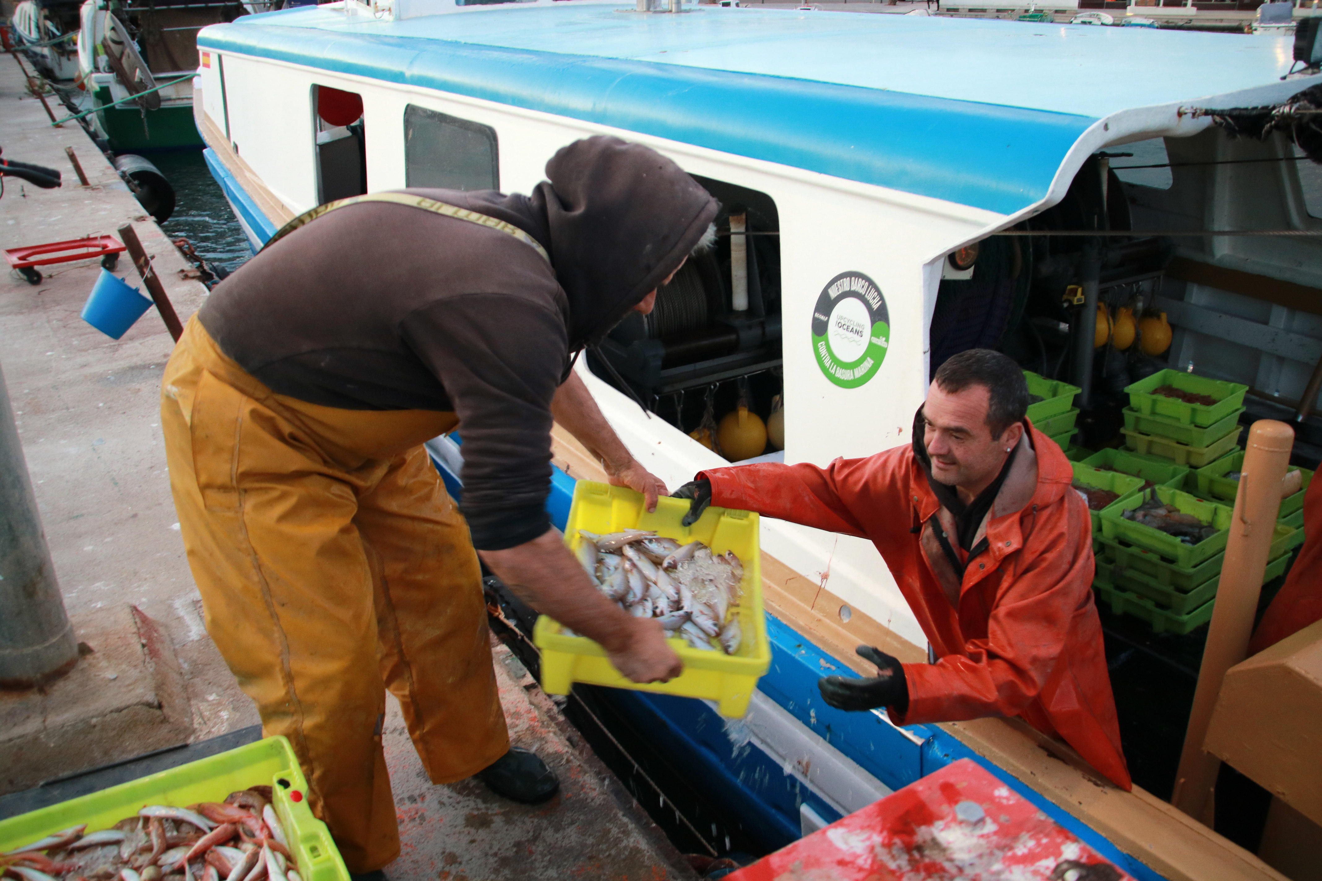 Tarragona fishers unloading a boat the day after extra fishing days were announced