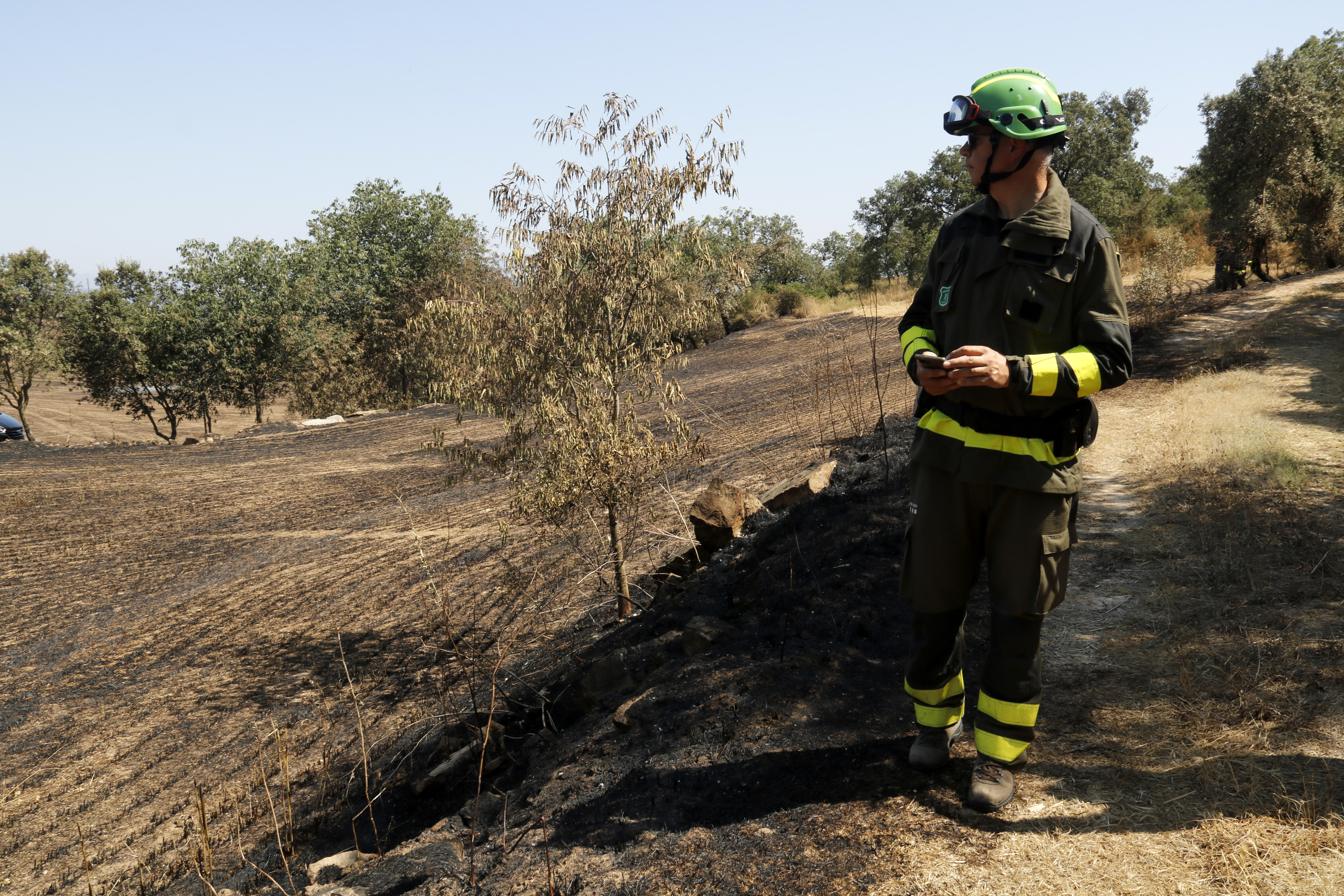 A Rural Agent works in the aftermath of the Torrefeta i Florejacs wildfire on July 4, 2025