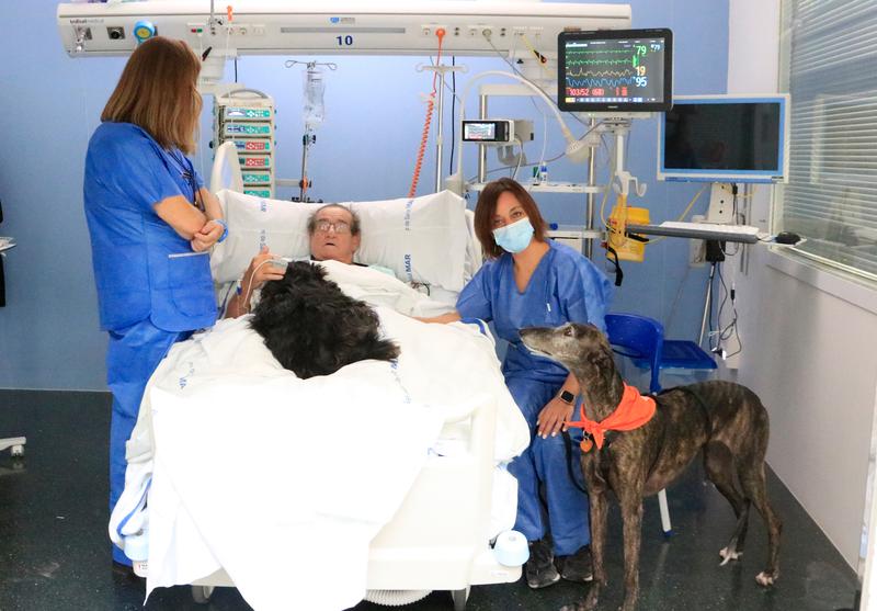 Hospital del Mar's ICU patient Francisco with Vida and Lu during a therapy dog session to promote well-being