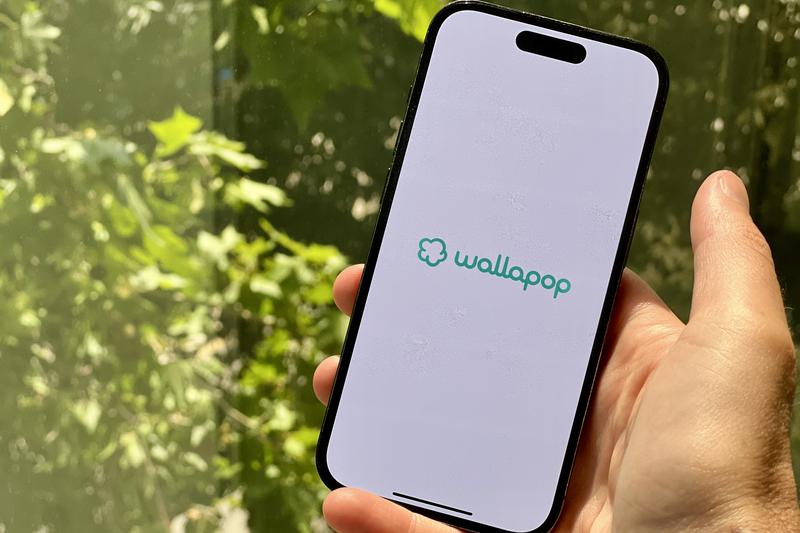 A phone displaying the logo of Wallapop, the Catalan second-hand marketplace app