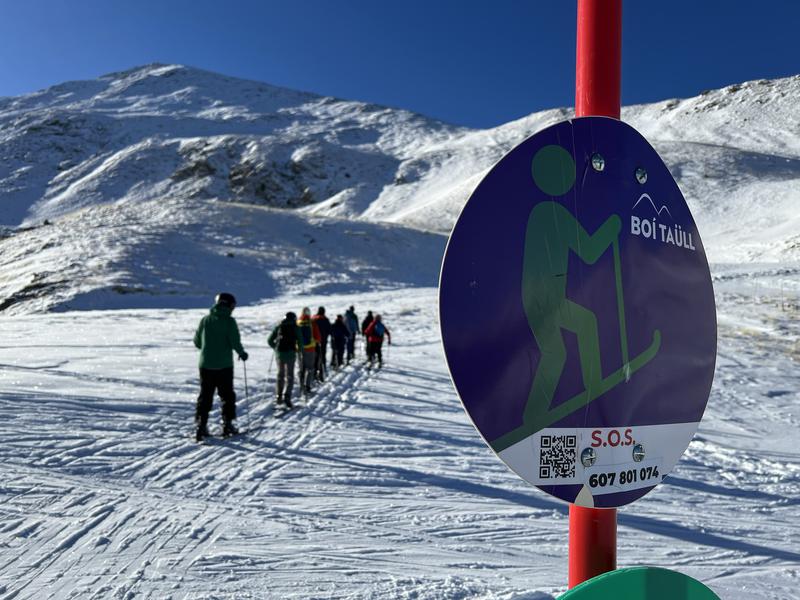 Skiers in Boí Taüll
