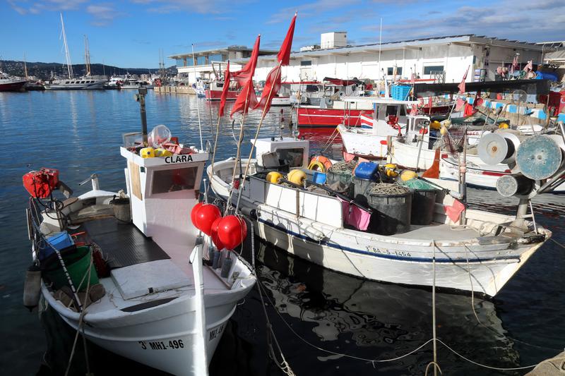 Trawlers docked in Palamós during the fishing strike