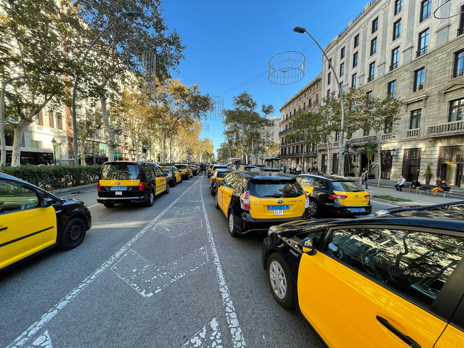 Taxis protest in wake of killing of driver