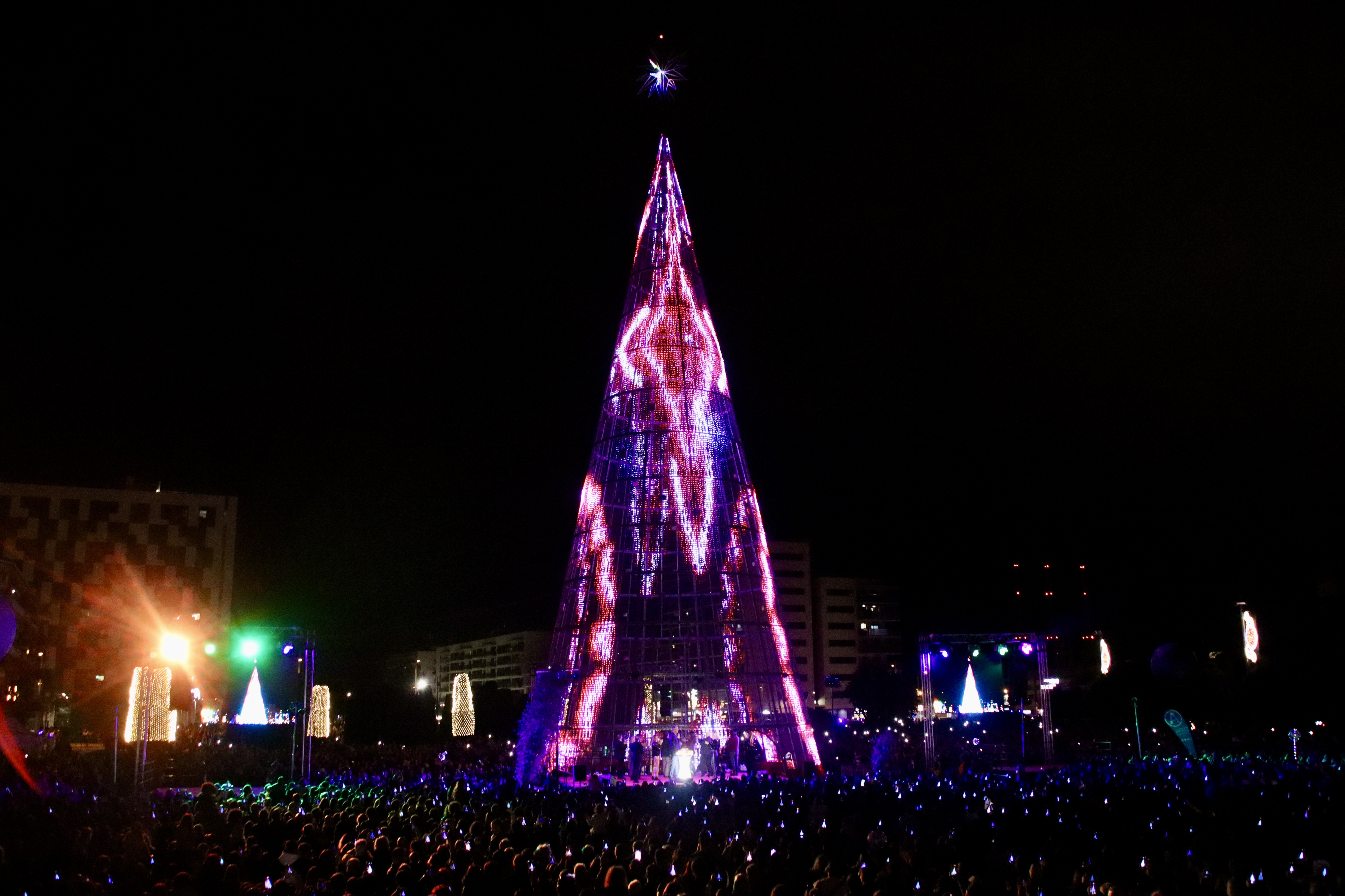 Imatge de l'arbre gegant de Badalona durant l'espectacle de llum i colors