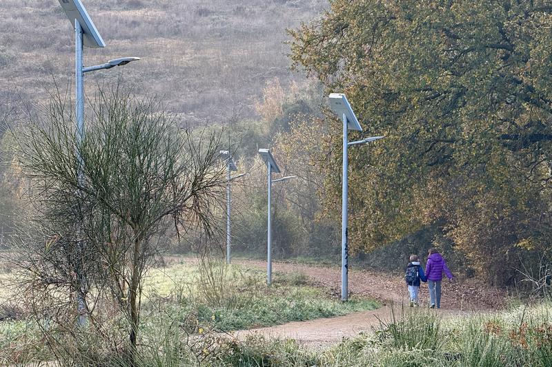 El Govern flexibilitza aquest dilluns les restriccions d'accés al medi natural establertes pel brot de pesta porcina 