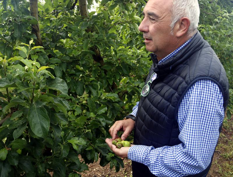 Pere Roqué farmer from Asaja union at his fruit field
