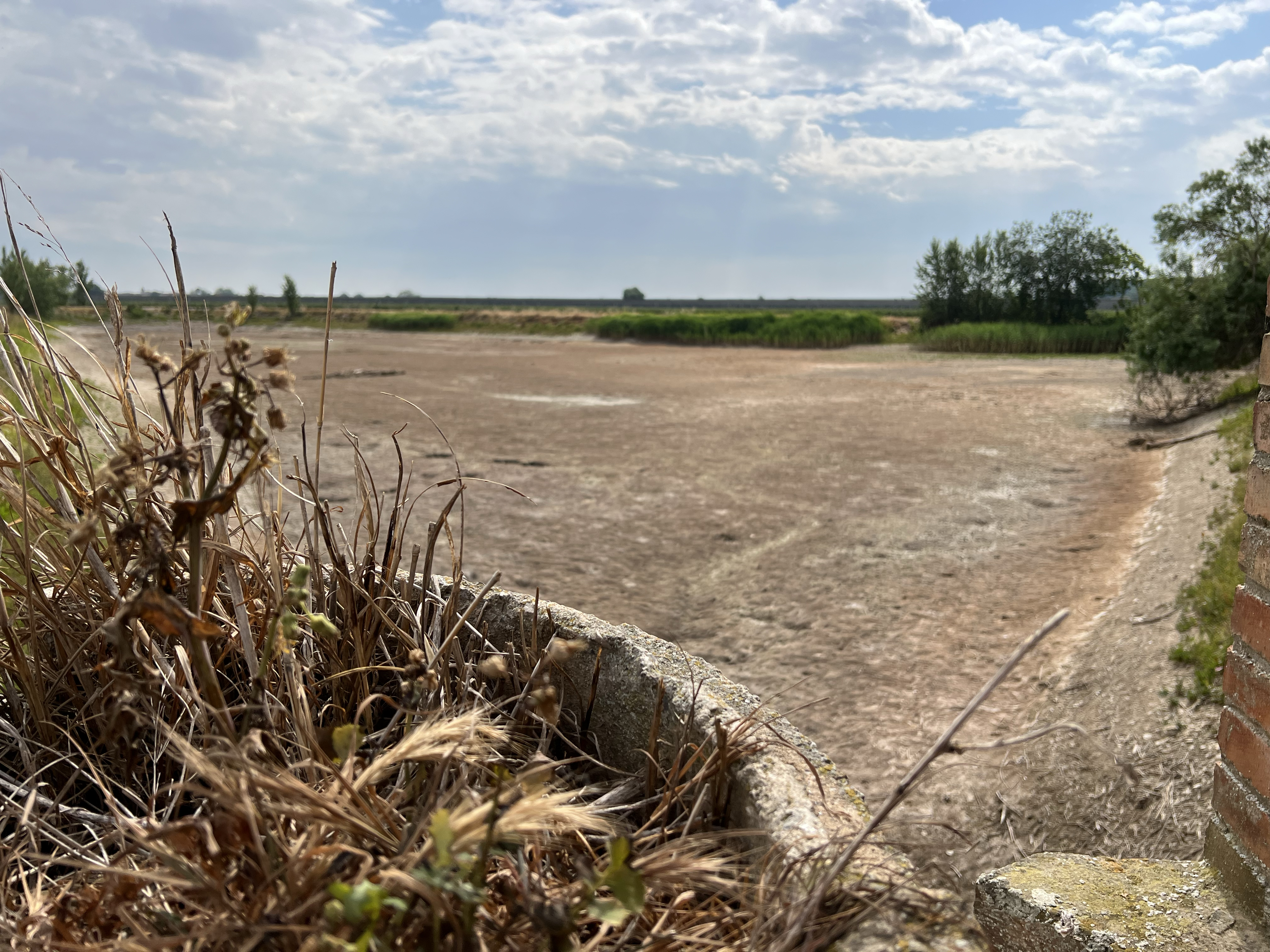 An irrigation pond of the Urgell canal in Vilanova de Bellpuig left completely dry, May 2023