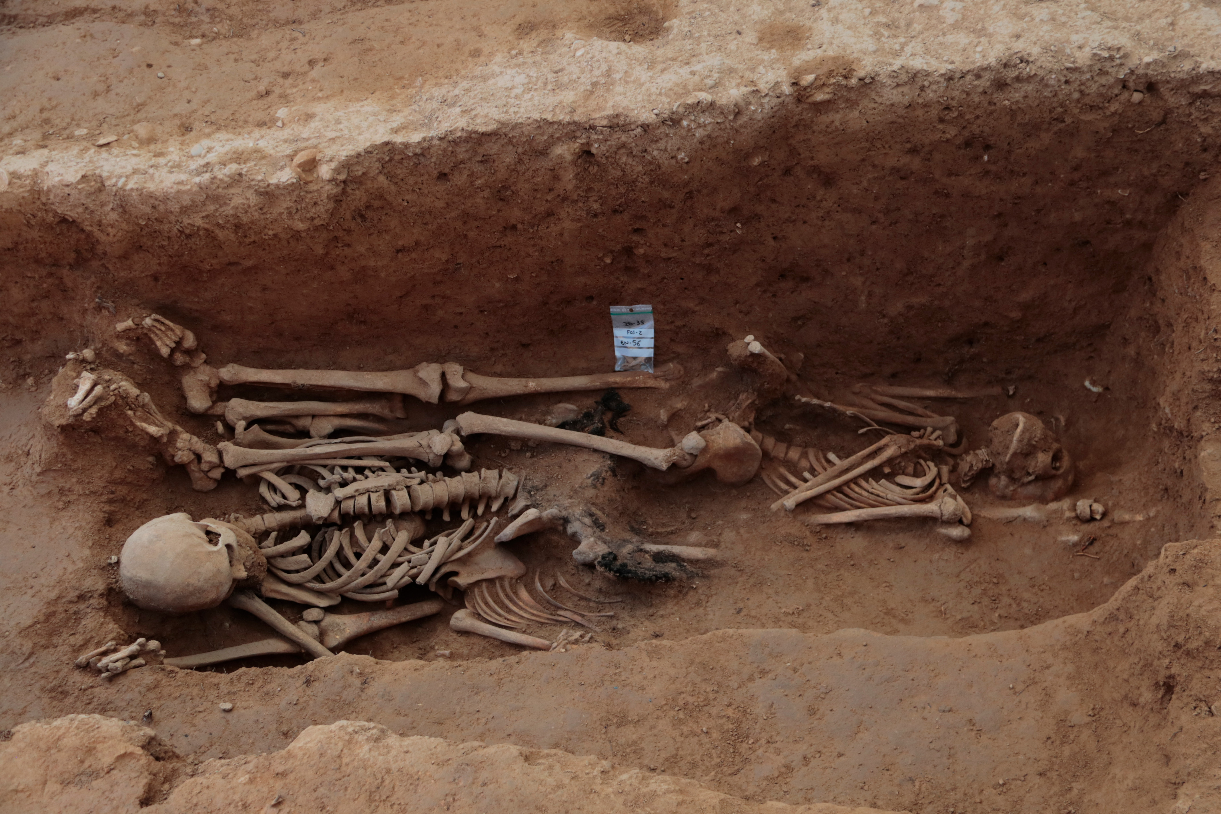 Two skeletons exhumed in the mass grave in La Bisbal de Montsant