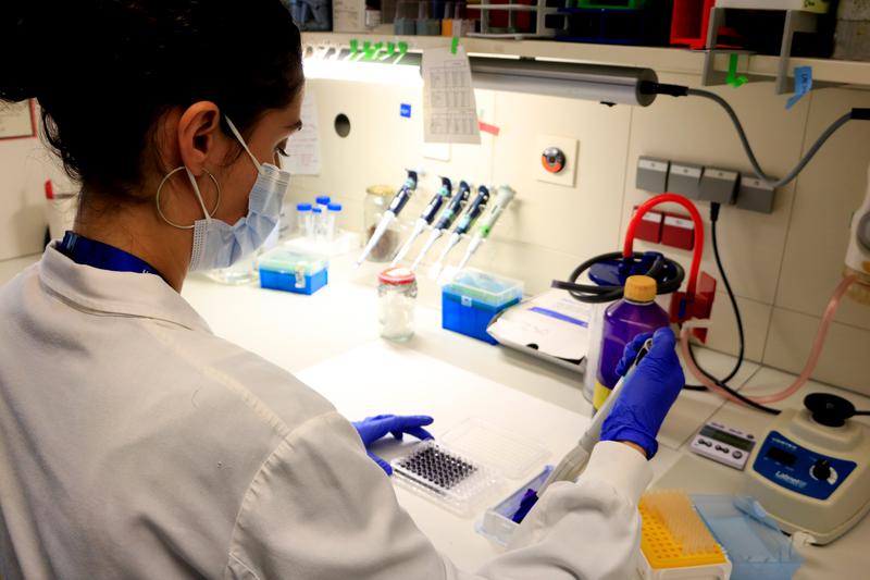 A researcher at Vall d'Hebron works in a laboratory