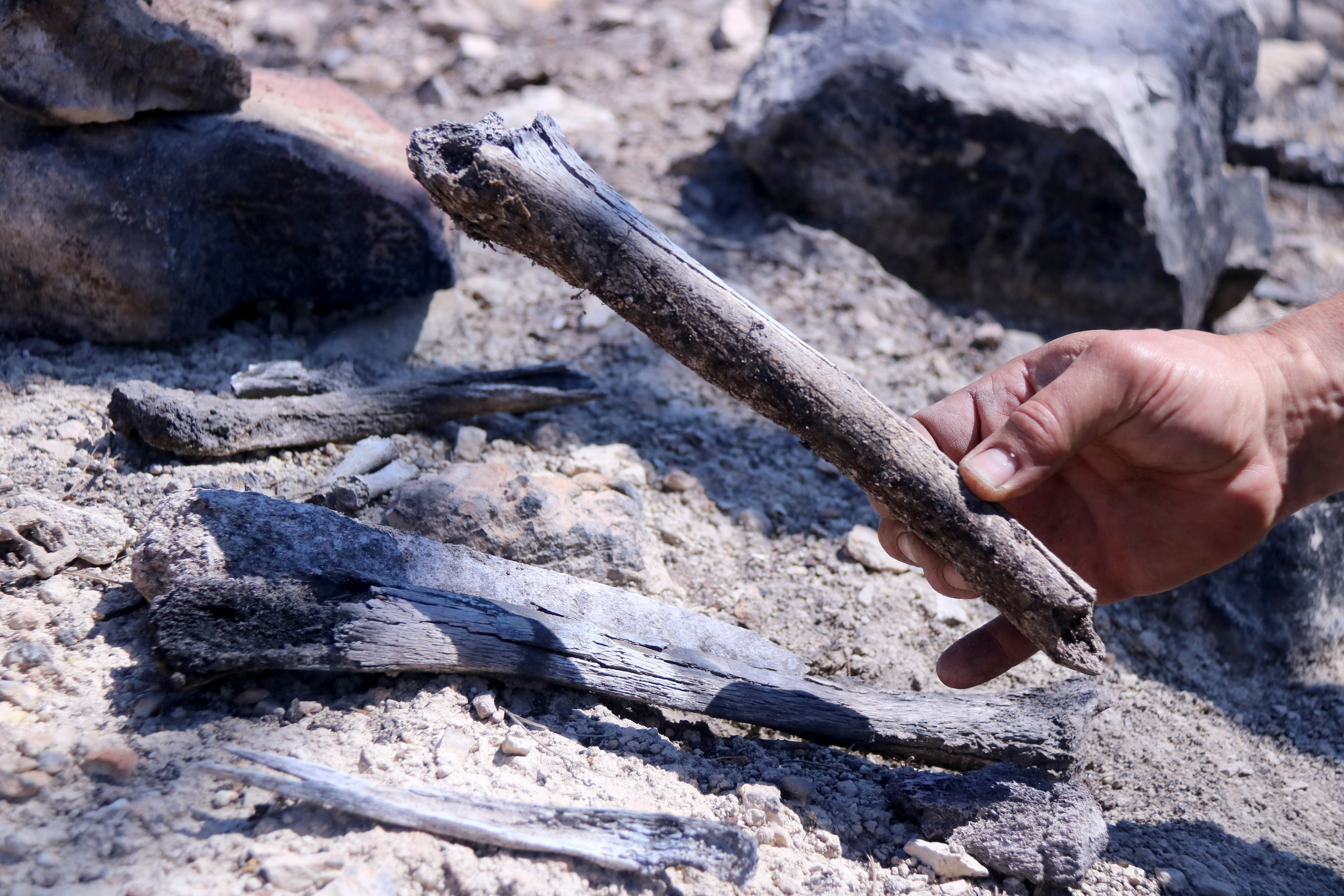 Spanish Civil war soldier bones found in Corbera d'Ebre following a wildfire in the area of the Battle of the Ebre