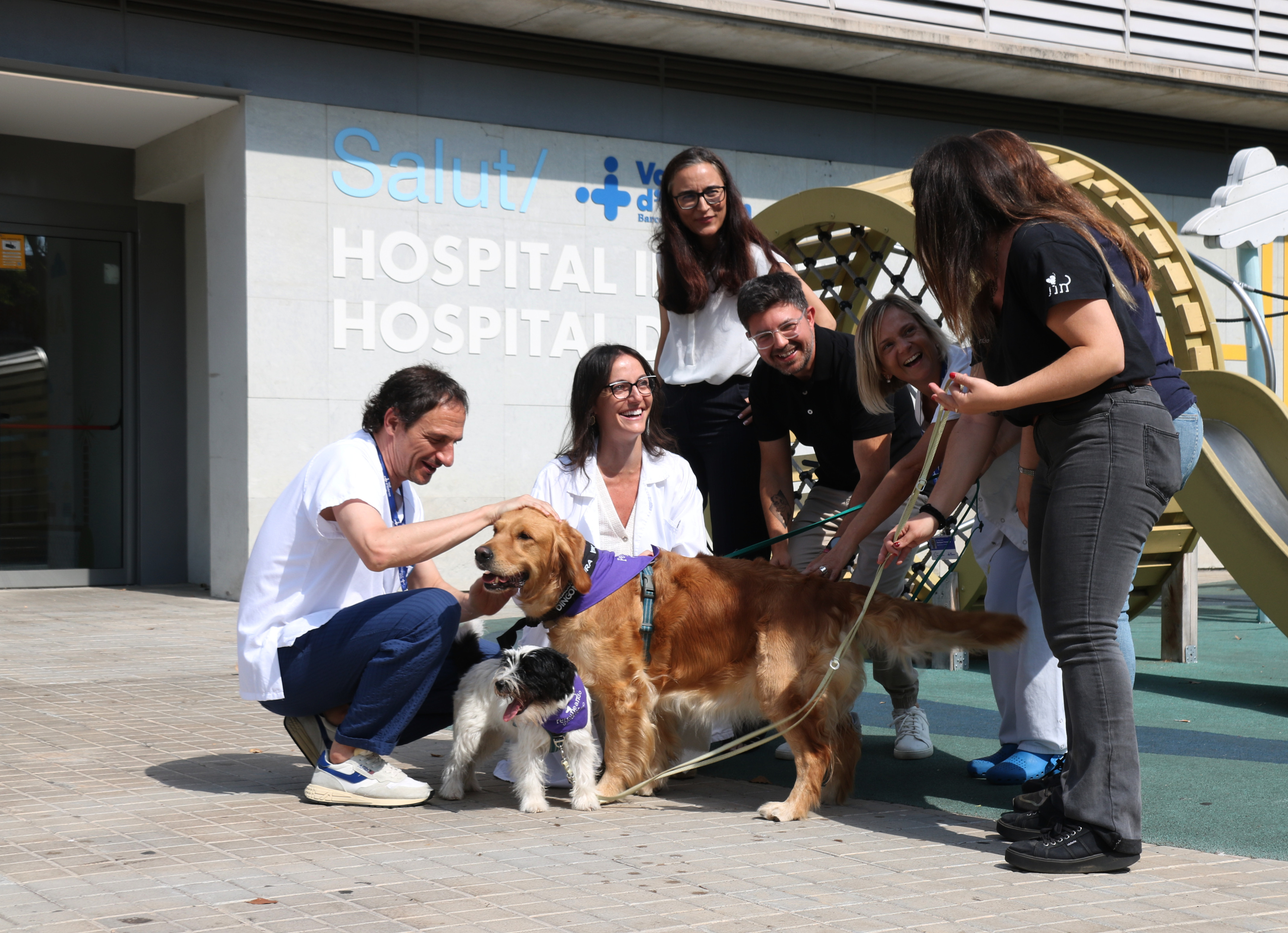 The medical team and the caregivers from Perruneando with the dogs participating in a session at Vall d’Hebron.