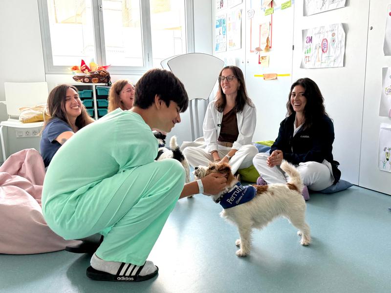 An adolescent interacting with one of the dogs during a session at Vall d’Hebron.