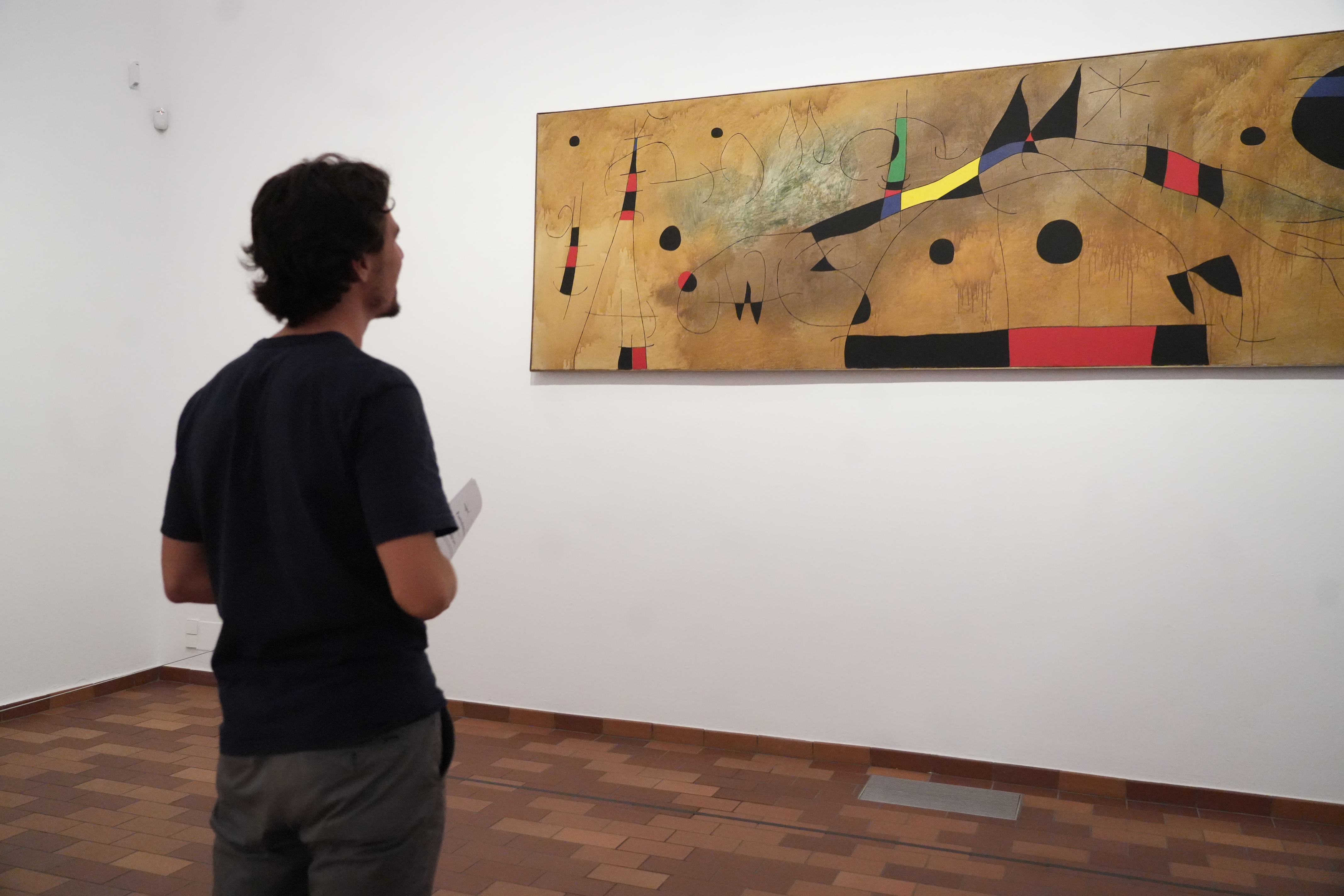 An art enthusiast enjoying a painting at the Miró Foundation