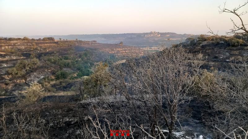 Fire in Lleida <strong>under control</strong> after burning 473 hectares