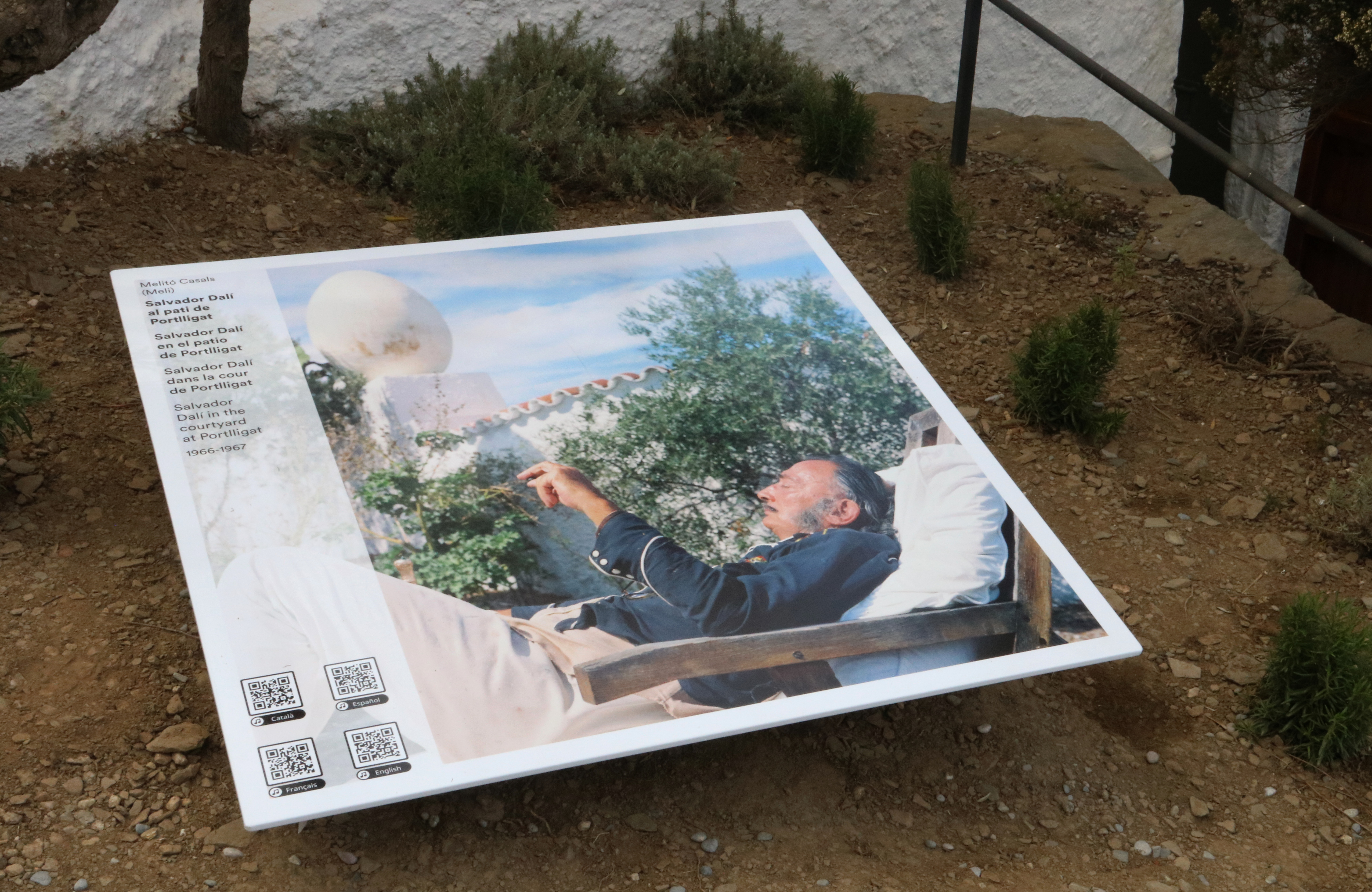 Salvador Dalí in a picture installed in Portlligat sunbathing