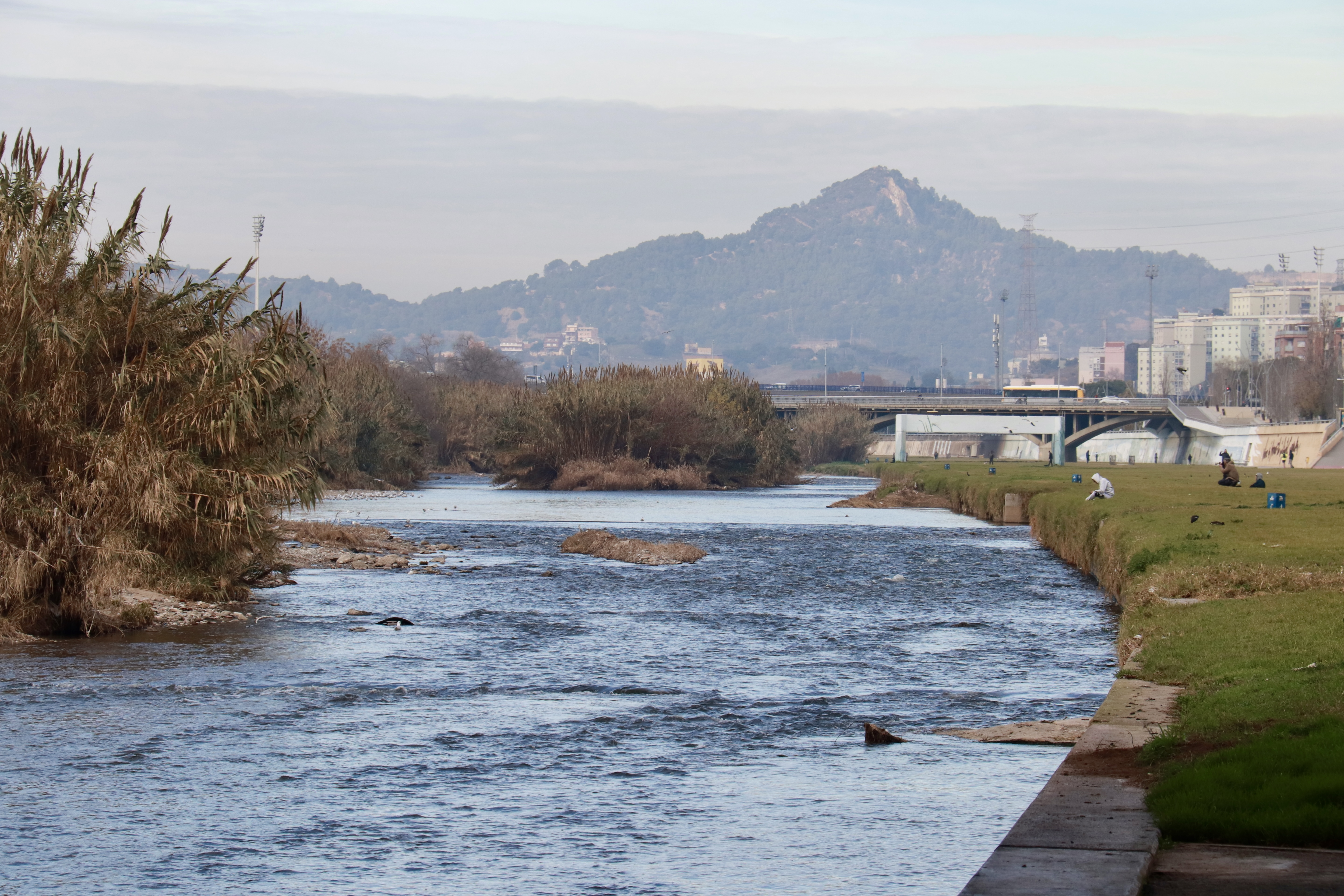 Besòs riverside park at Santa Coloma de Gramenet