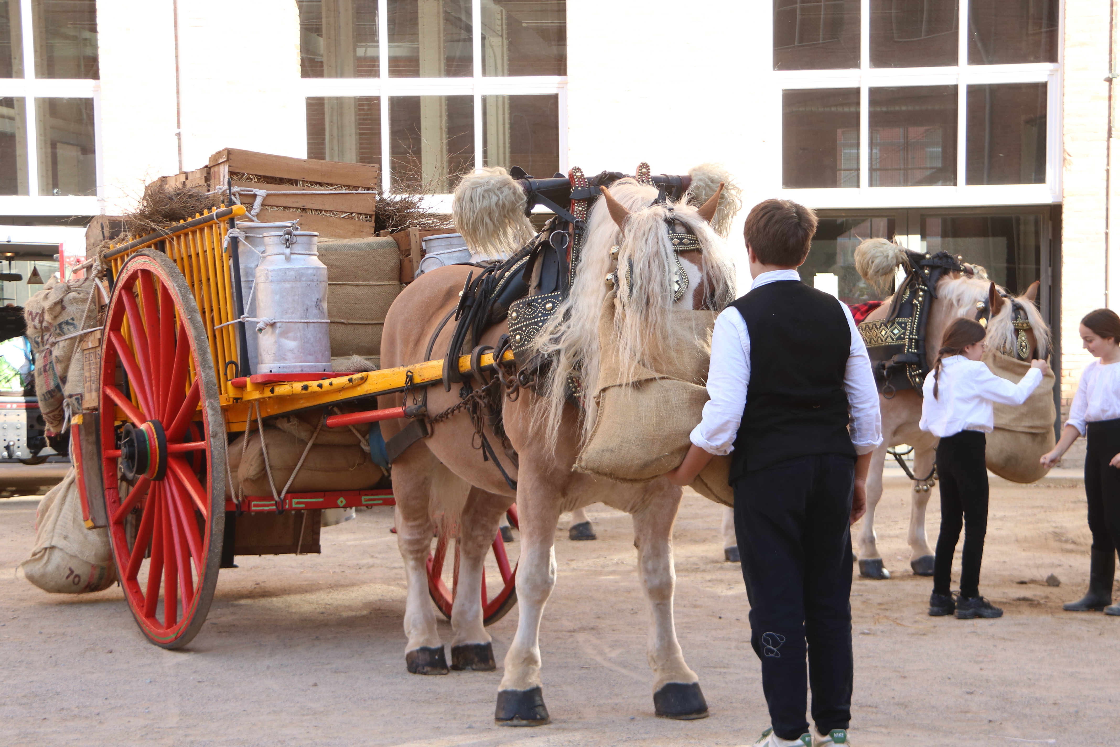 Dos cavalls amb els seus carruatges durant la preparació dels animals abans de sortir a fer els Tres Tombs de Sant Andreu