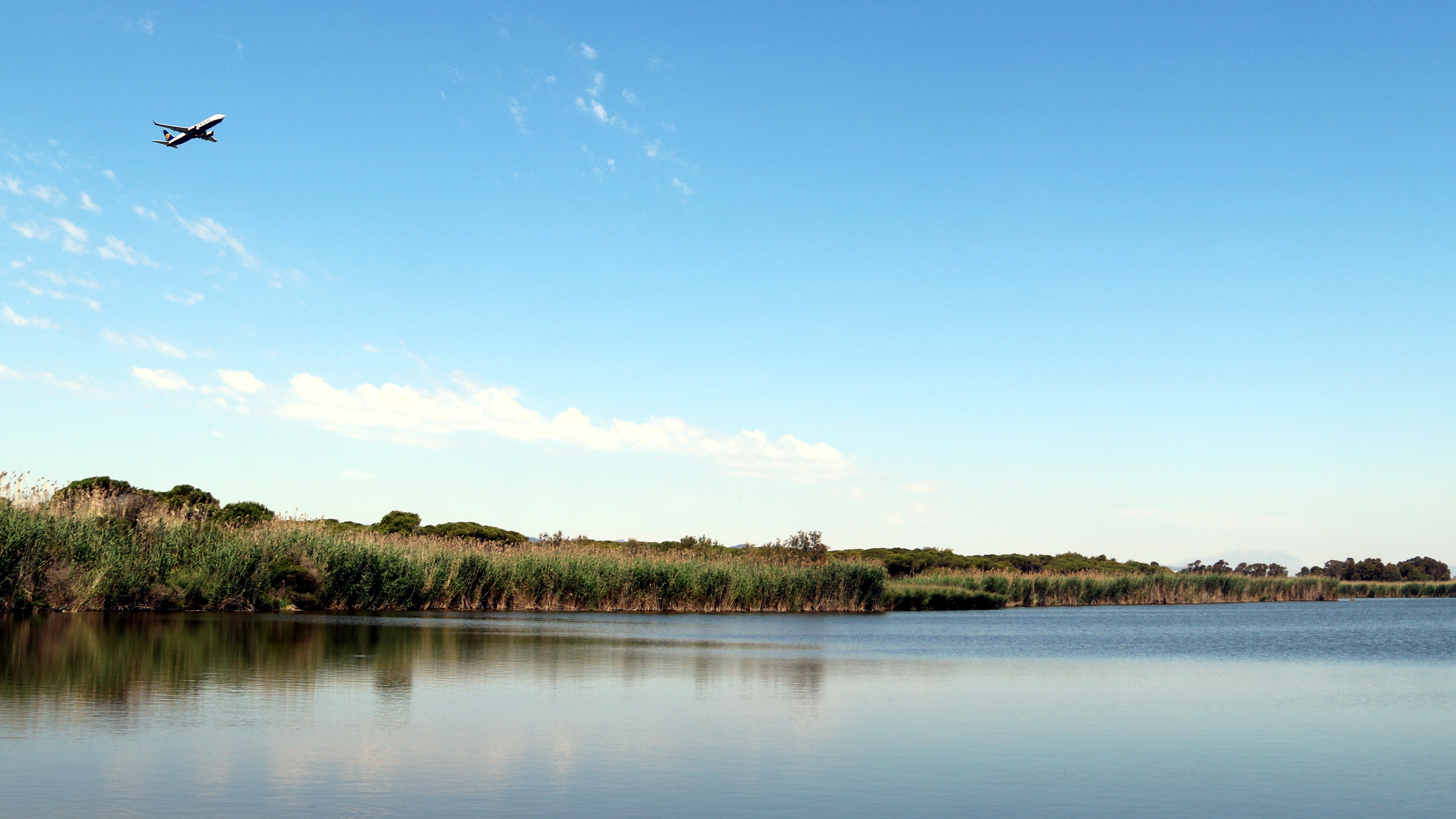 An airplane flies over the La Ricarda natural park and lagoon, located beside the Barcelona airport