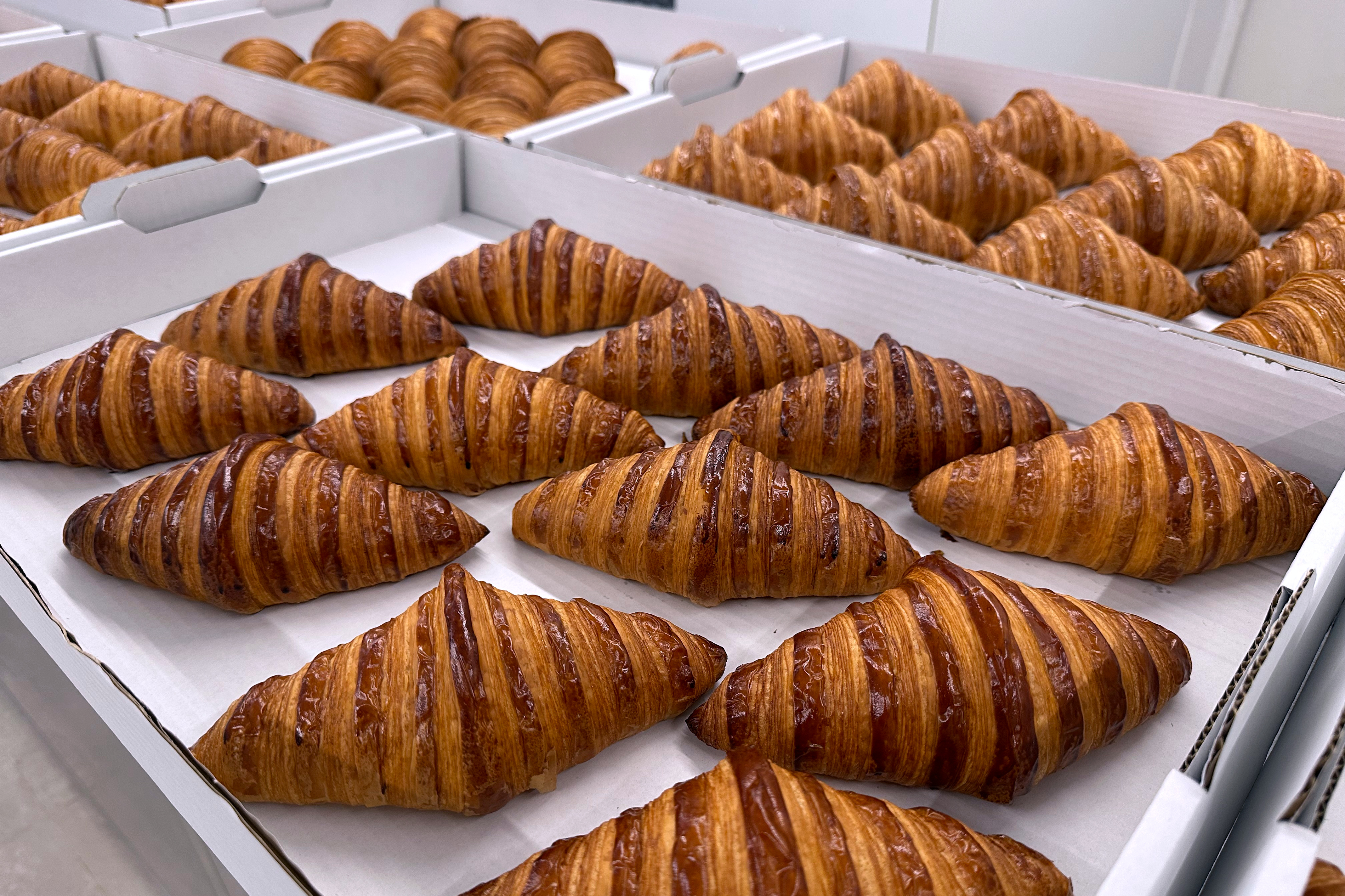 Batch of 12 croissants presented by one bakery at the 2025 Spain’s Best Croissant Award